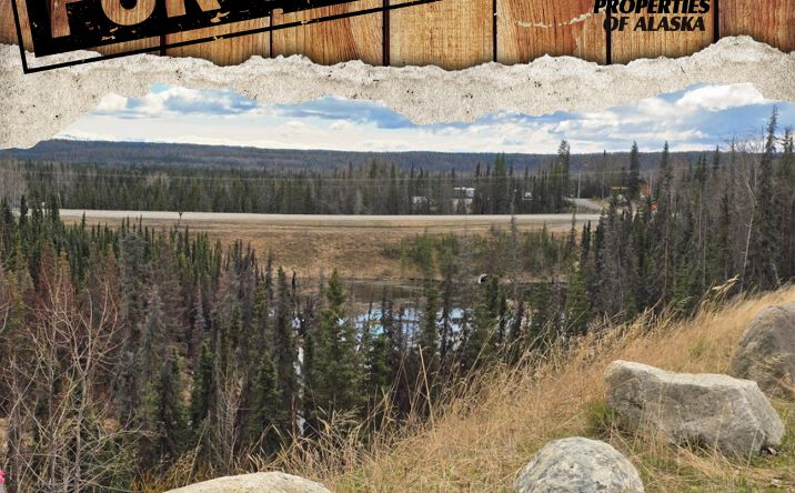 Pictures of Land property located at TR A2 Mackey Lake Road, Soldotna, AK 99669 for sales - image #1