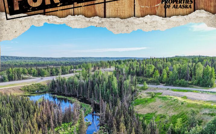 Pictures of Land property located at TR A2 Mackey Lake Road, Soldotna, AK 99669 for sales - image #1