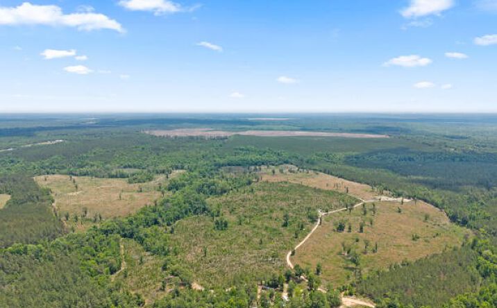 Pictures of Land property located at 878 Hephzibah-Keysville Road, Hephzibah, GA 30815 for sales - image #1