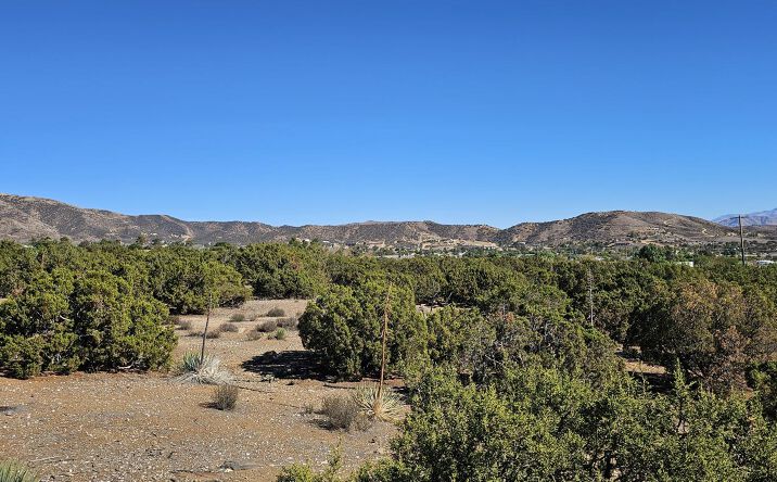 Pictures of Land property located at Shannondale Road, Acton, CA 93510 for sales - image #1