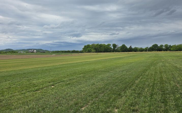 Pictures of Land property located at Shoemaker Rd, Eagleville, TN 37060 for sales - image #1