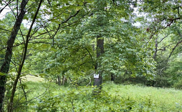 15 acres Lake Honey Bear, Warsaw