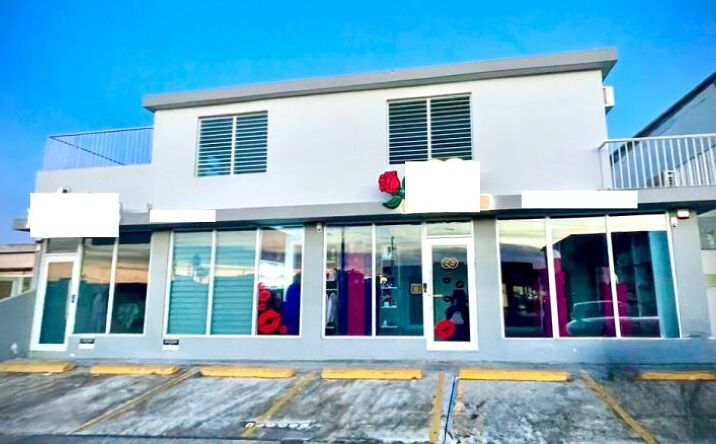 Pictures of Mixed Use property located at Ave Main #31-38 Santa Rosa, Bayamon, Puerto Rico 00959 for sales - image #1
