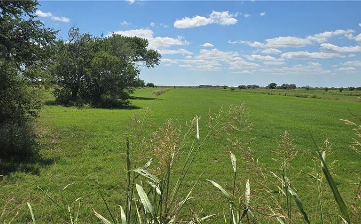Pictures of Land property located at Nelson, Rio Hondo, TX 78583 for sales - image #1