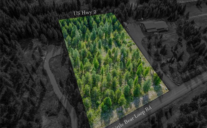 Pictures of Land property located at NHN Little Bear Loop, TROY, MT 59935 for sales - image #1