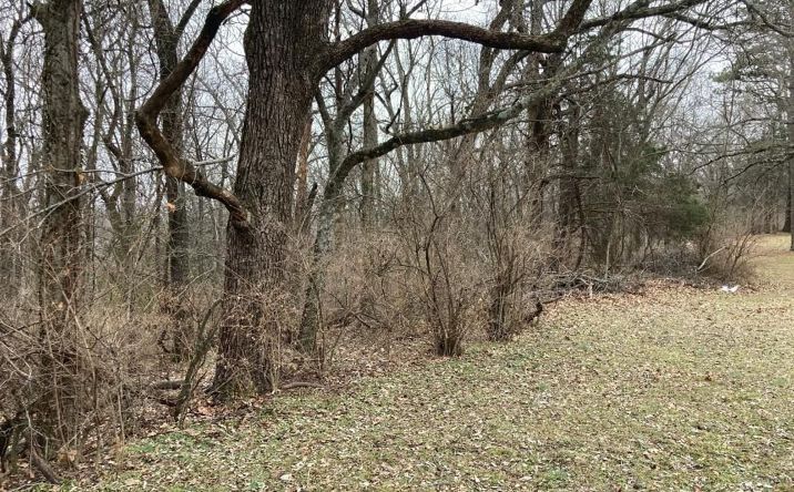 Pictures of Land property located at 000 W Circle Drive, Greenland, AR 72701 for sales - image #1