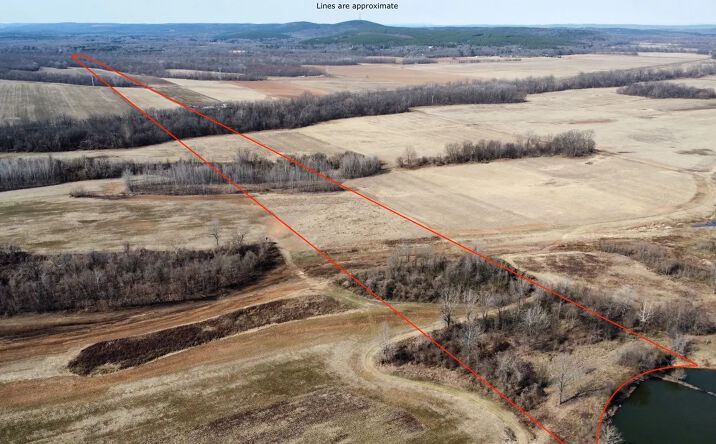 Pictures of Land property located at 000 Highway 300, Roland, AR 72135 for sales - image #1