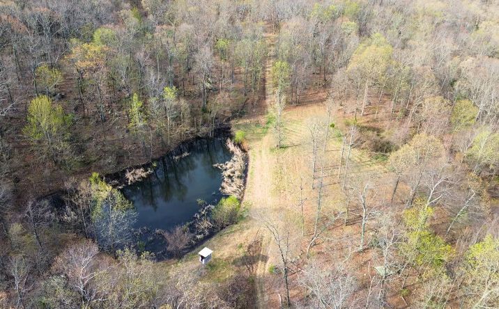 Pictures of Land property located at Cr 921, Alpena, AR 72611 for sales - image #1