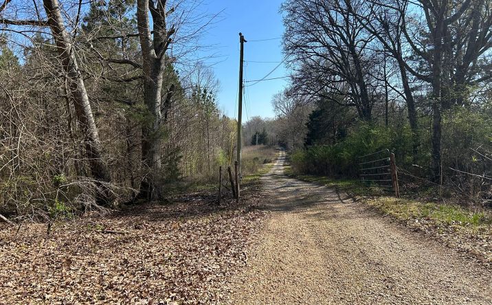 Pictures of Land property located at 0 Seymore Rd, Nettleton, MS 38858 for sales - image #1