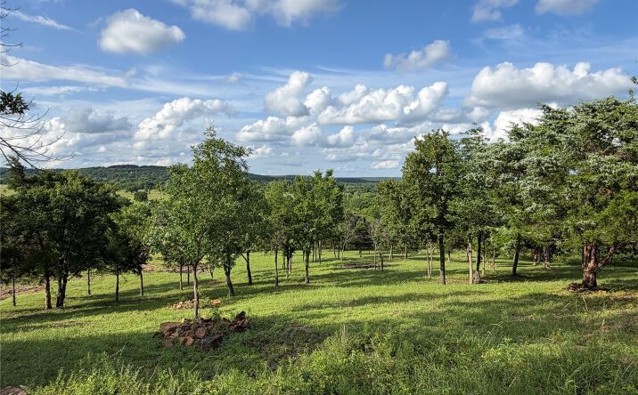 Pictures of Land property located at 6 W 43rd Street N, Tulsa, OK 74127 for sales - image #1
