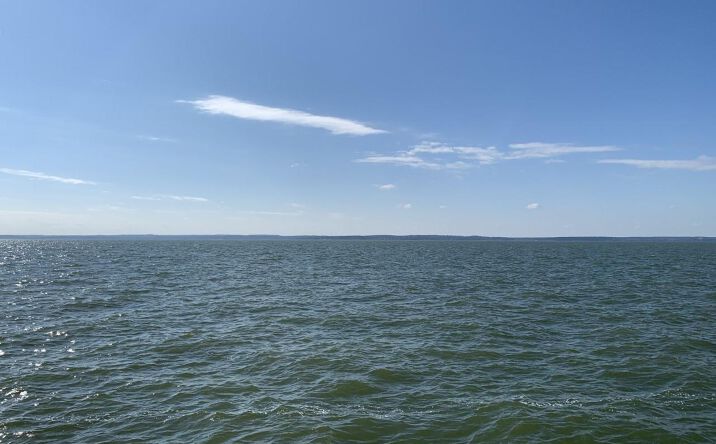 Pictures of Land property located at 445 Carolcrest Lane, Livingston, TX 77351 for sales - image #1