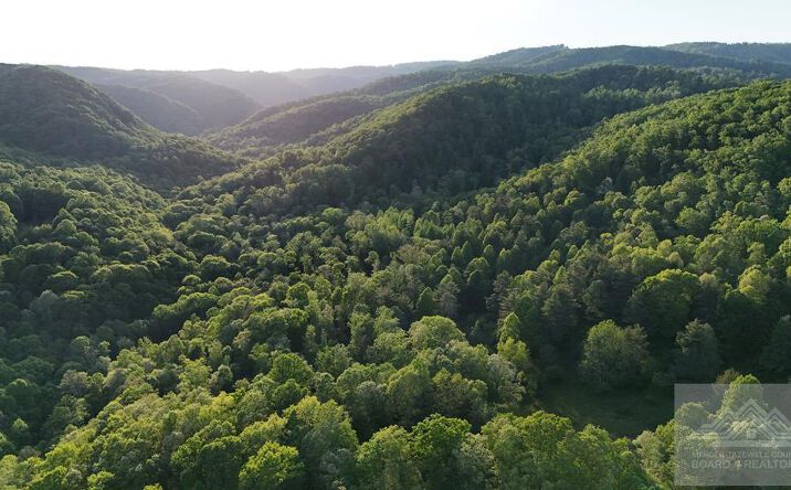Pictures of Land, Multifamily property located at 11 Old Schoolhouse Rd., Flat Top, WV 25841 for sales - image #1