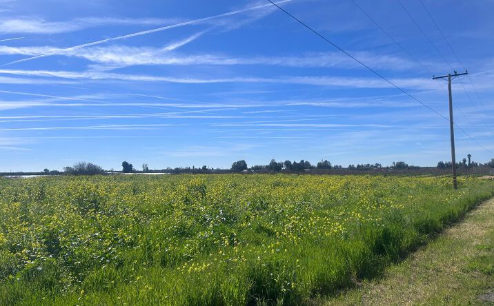 Pictures of Land property located at SE Avenue 88 Avenue Se, Terra Bella, CA 93270 for sales - image #1