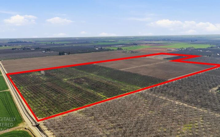 Pictures of Land property located at 4207 East Avenue, Turlock, CA 95380 for sales - image #1