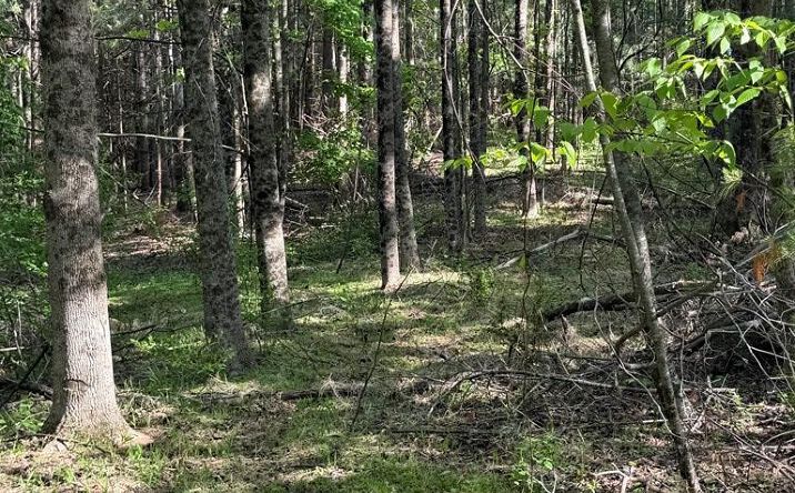 Pictures of Land, Multifamily property located at TBD Lambsburg Road, Galax, VA 24333 for sales - image #1
