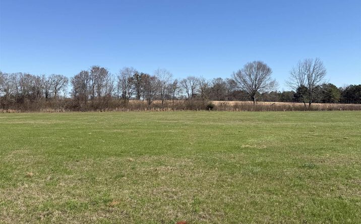 Pictures of Land property located at 325 Honoraville Road, Greenville, AL 36067 for sales - image #1