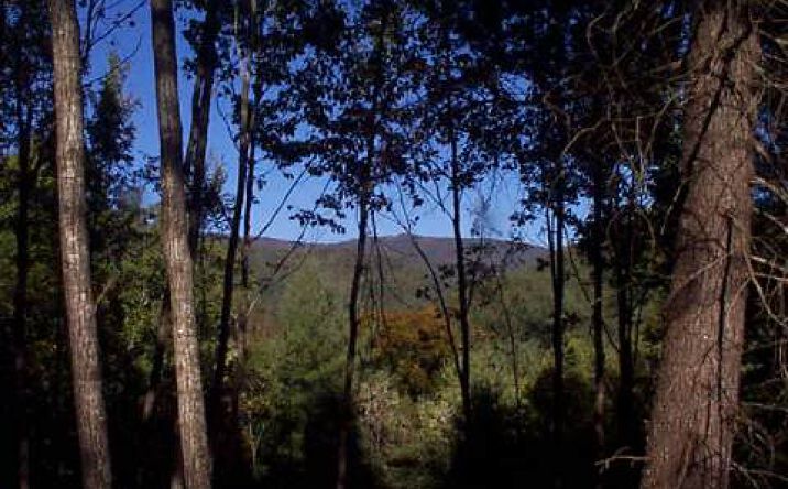 #21 Fires Creek - Usfs, Hayesville