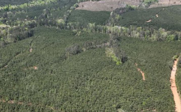 Trawick Road, Hancock