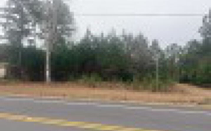 Pictures of Retail, Land property located at 8201 GODWIN FALCON RD, GODWIN, NC 28344-8003 for sales - image #1
