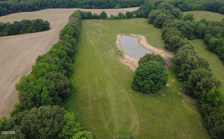 Pictures of Land property located at 51 St Rt 186 N, Humboldt, TN 38343 for sales - image #1