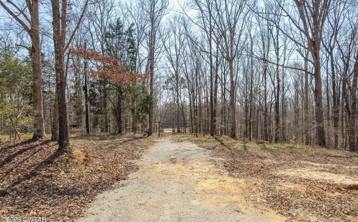 Pictures of Land property located at 320 Peddy Vestal Loop, Henderson, TN 38340 for sales - image #1