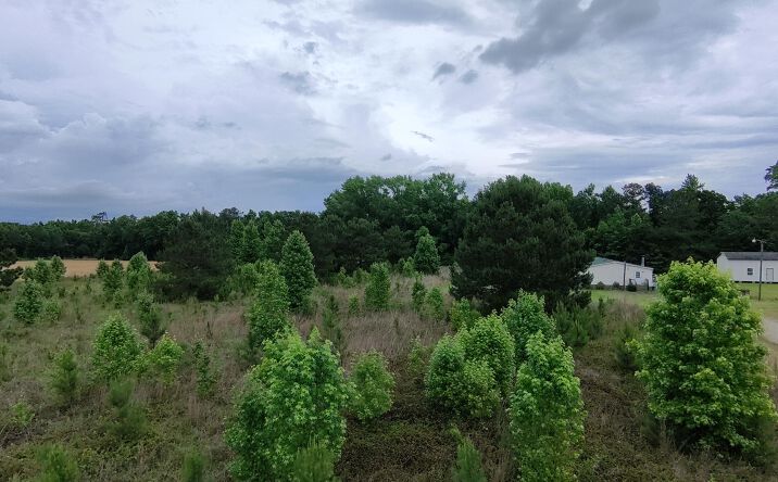Pictures of Land, Multifamily property located at 3821 Nicole Lane, Sumter, SC 29153 for sales - image #1