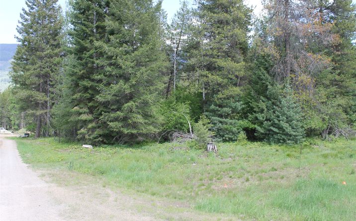Pictures of Land property located at 2773 Mt Highway 200, TROUT CREEK, MT 59874 for sales - image #1