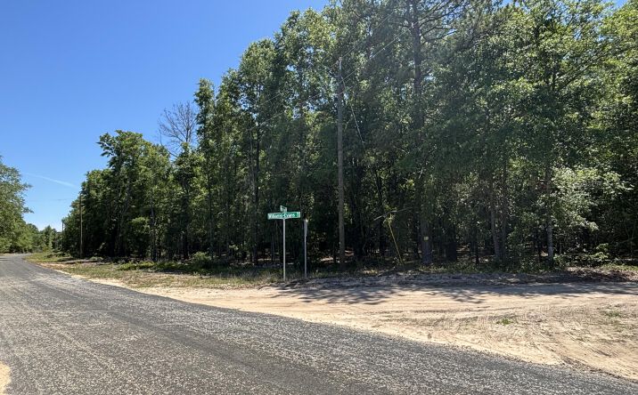Warbonnet Road, Springfield