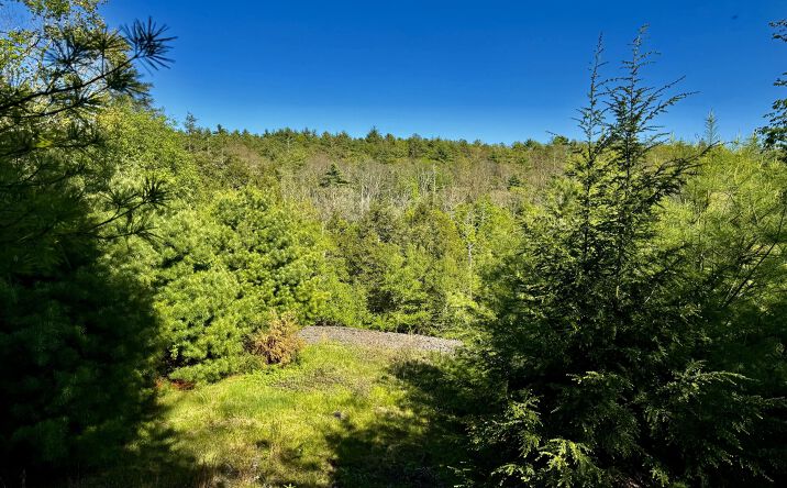 Pictures of Land, Multifamily property located at 101 Stone Road, Accord, NY 12404 for sales - image #1