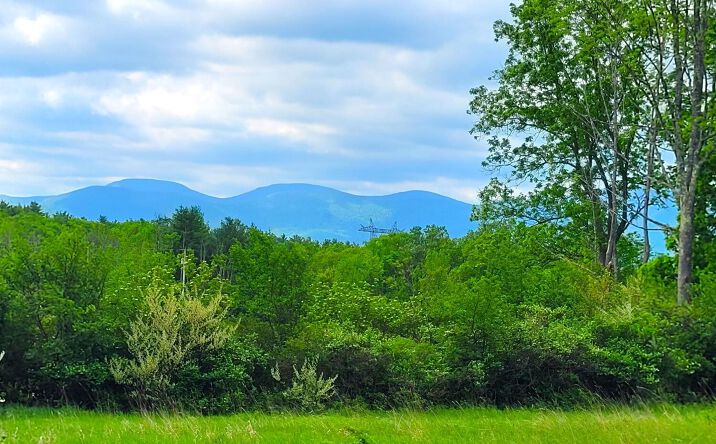 Pictures of Land property located at L13 Mackey Road, East Durham, NY 12423 for sales - image #1