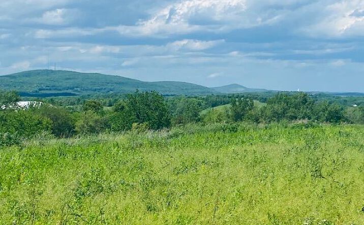 Pictures of Land property located at Tbd Clarkes Lane, Marlboro, NY 12542 for sales - image #1