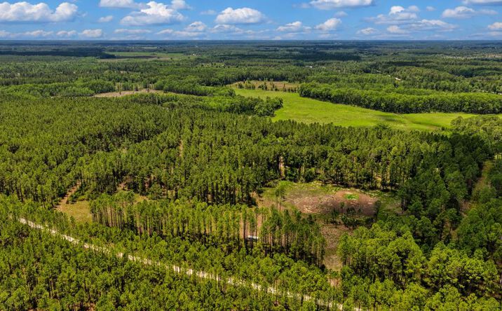 Pictures of Land property located at NE Waters Pond Rd, Chiefland, FL 32626 for sales - image #1