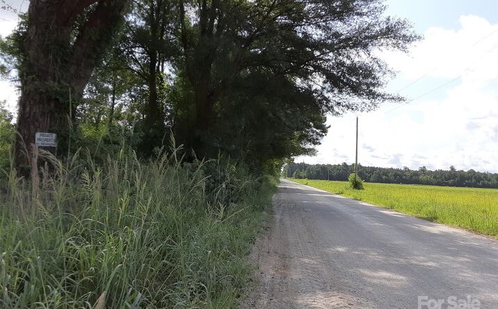 Pictures of Land property located at 4160 Old Dothan Road, Tabor City, NC 28463 for sales - image #1