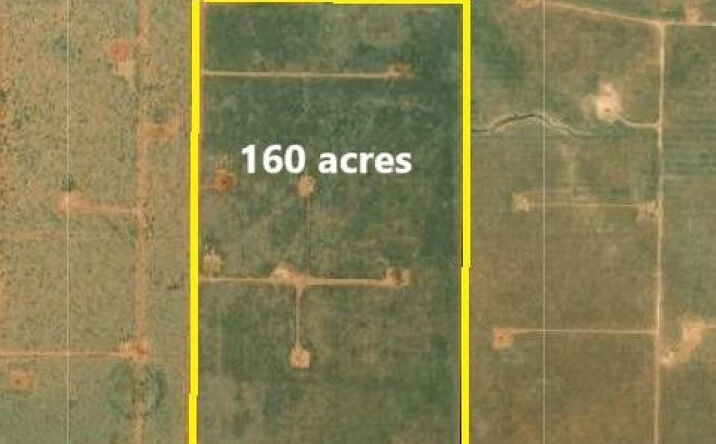 Pictures of Land property located at County Road 150, Morton, TX 79346 for sales - image #1