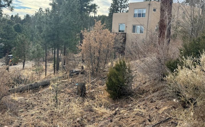 Pictures of Land property located at 1620 Sonrisa, Los Alamos, NM 87544 for sales - image #1