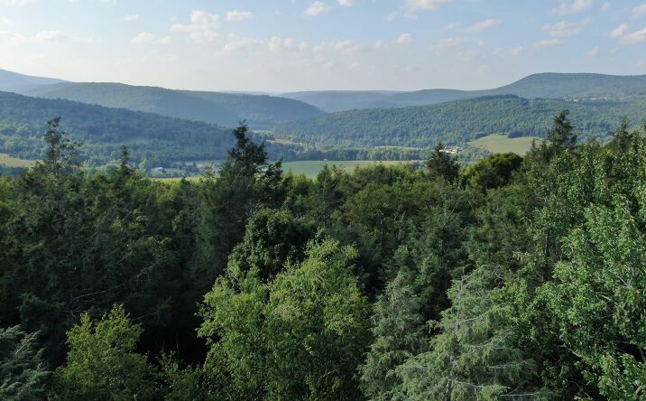 Pictures of Land property located at 101 Terrace Drive, Lexington, NY 12468 for sales - image #1