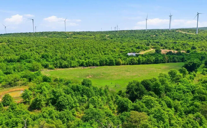 Pictures of Land property located at 3180 Rock Creek Rd, Jacksboro, TX 76458 for sales - image #1