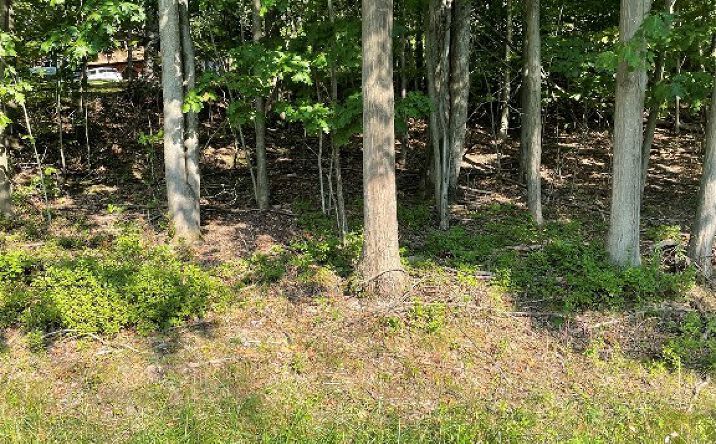 Pictures of Land property located at 14 Stanford Rd, Binghamton, NY 13903 for sales - image #1