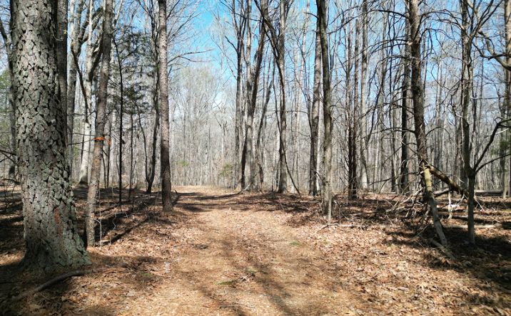Pictures of Land property located at 00 Tilden Nursery Road, Lexington, NC 27295 for sales - image #1
