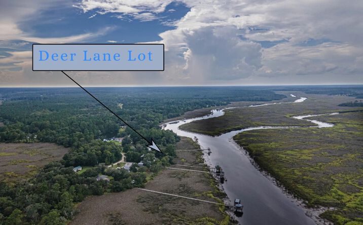 Pictures of Land property located at 0 Deer Lane, White Oak, GA 31568 for sales - image #1