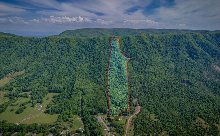 Pictures of Land, Multifamily property located at TBD S Cedar Acres, Lebanon, VA 24266 for sales - image #1