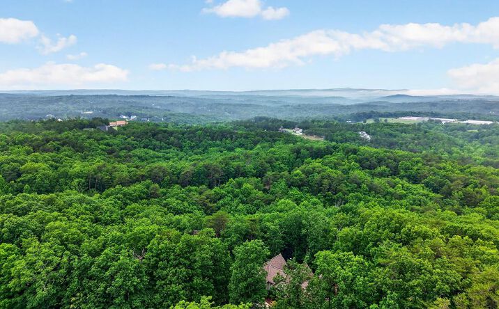Pictures of Land property located at Ridgeside Court, Jasper, GA 30143 for sales - image #1