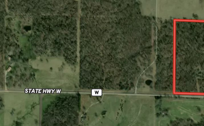 Pictures of Land property located at 3991 Highway W, Thayer, MO 65791 for sales - image #1