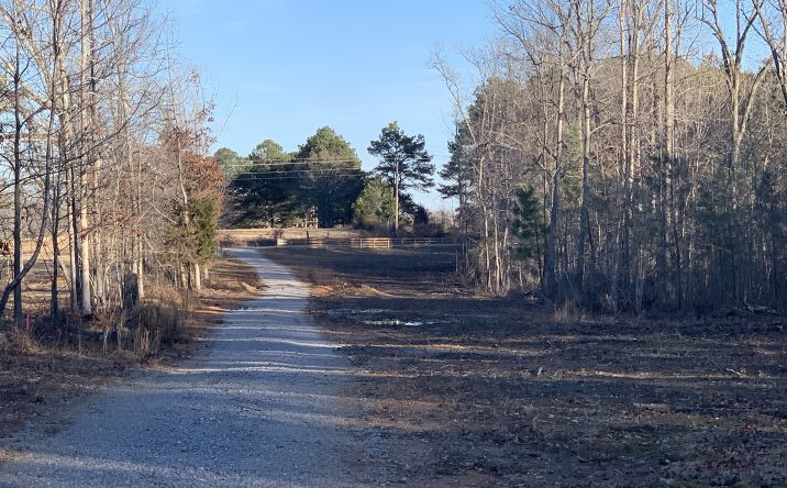 Pictures of Land property located at 4206 Summertown Hwy, Summertown, TN 38483 for sales - image #1
