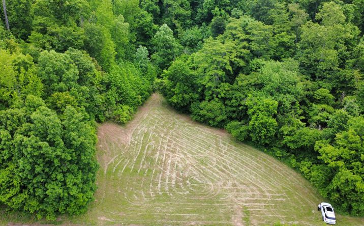 Pictures of Land property located at 0 Love Branch Rd, Hampshire, TN 38461 for sales - image #1
