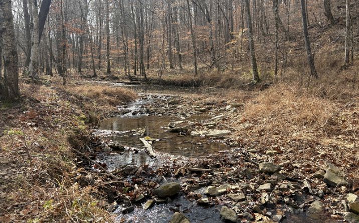 Pictures of Land property located at 298 Leonard Jackson Rd, Waynesboro, TN 38485 for sales - image #1