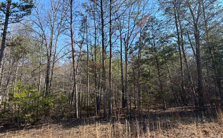 Pictures of Land property located at 146 Till Rd, Hohenwald, TN 38462 for sales - image #1