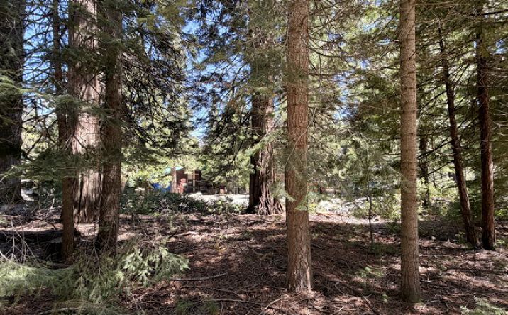 Pictures of Retail, Land property located at 7631 FOREST (FISH CAMP) DR, FISH CAMP, CA 93623 for sales - image #1