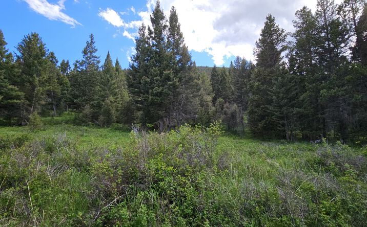 Pictures of Land property located at Tract 11 Hall Creek, HELMVILLE, MT 59843 for sales - image #1