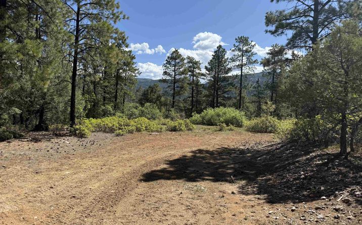 Pictures of Land property located at TBD Buckman Road Road, Chama, NM 87520 for sales - image #1